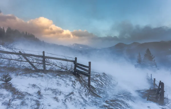 Sneeuwstorm. Winter in de bergen — Stockfoto