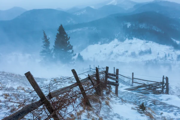 Snöstorm. Vinter i fjällen — Stockfoto