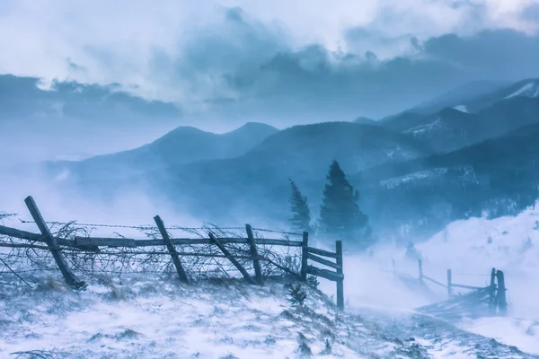 Snöstorm. Vinter i fjällen — Stockfoto