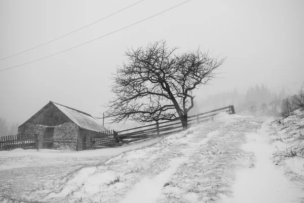 暴风雪。冬天在山上 — 图库照片