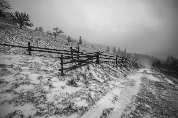 Snowstorm. Winter in the mountains — Stock Photo, Image