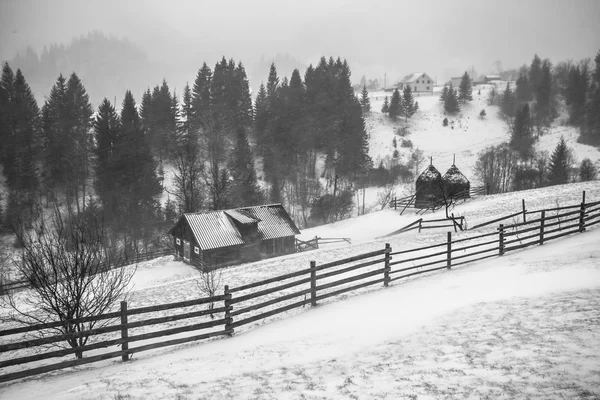 Sněhová bouře. Zima v horách — Stock fotografie