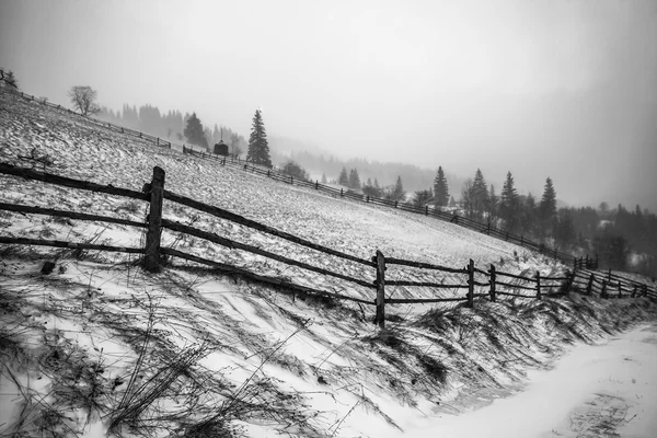 Snowstorm. Winter in the mountains — Stock Photo, Image