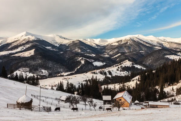 Prachtige besneeuwde bergen — Stockfoto