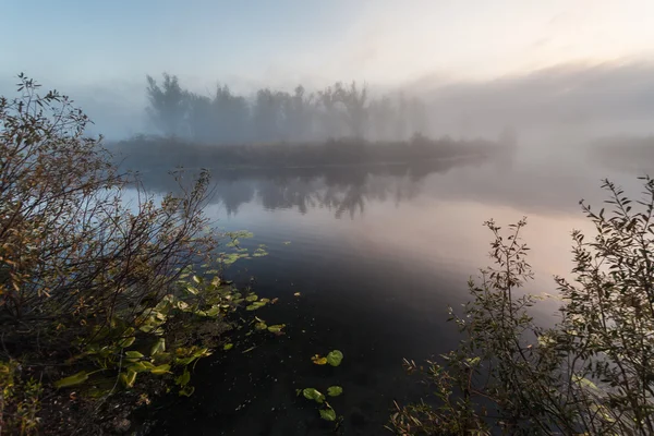 Morgen på bredden af efterårssøen - Stock-foto