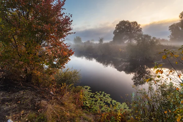 Mañana en la orilla del lago de otoño — Foto de Stock