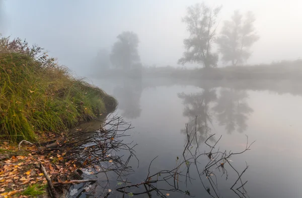 Mattina sulla riva del lago d'autunno — Foto Stock