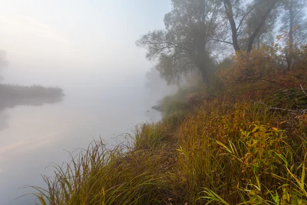 Mañana en la orilla del lago de otoño — Foto de Stock