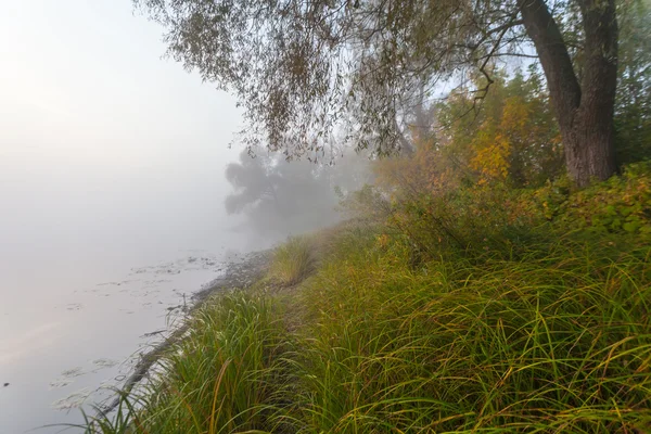 Mattina sulla riva del lago d'autunno — Foto Stock