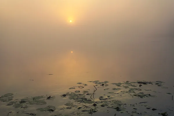 Sjön med dimman på sunrise — Stockfoto