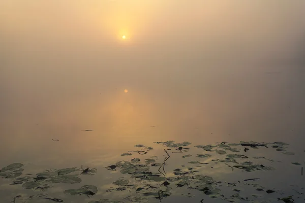 Lac avec le brouillard au lever du soleil — Photo