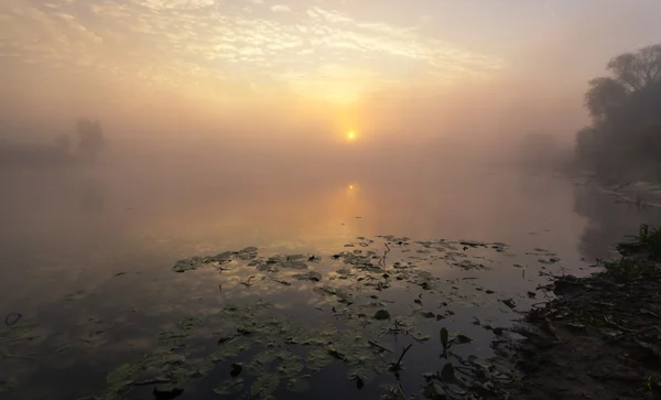 Lago con la niebla al amanecer — Foto de Stock