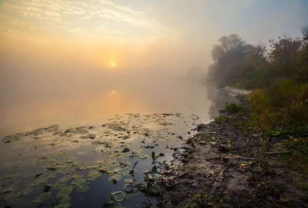 Lac avec le brouillard au lever du soleil — Photo