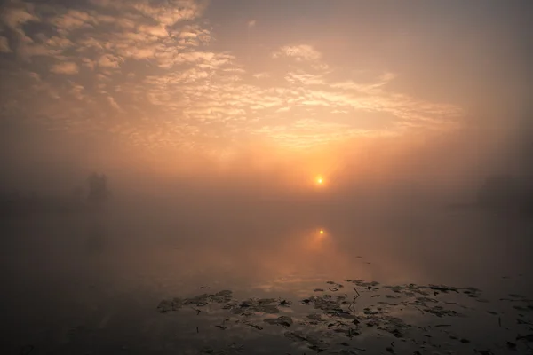 Sjön med dimman på sunrise — Stock fotografie