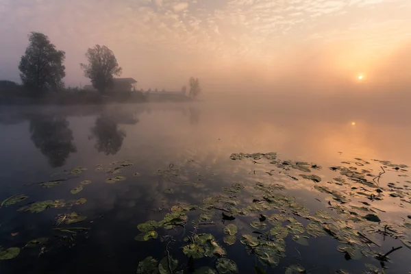 Lago com o nevoeiro ao nascer do sol — Fotografia de Stock