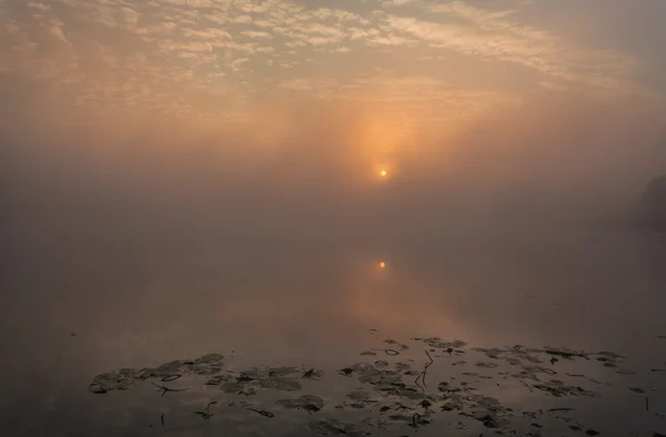 Sjön med dimman på sunrise — Stockfoto