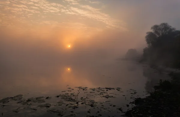 Lago con la niebla al amanecer — Foto de Stock
