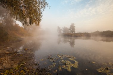 nehir kıyısında sonbahar ahşap
