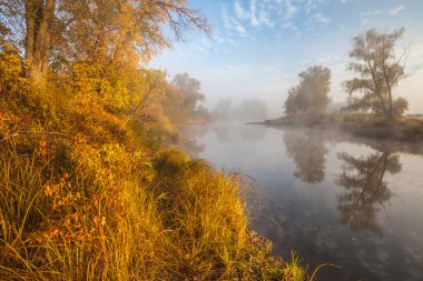 nehir kıyısında sonbahar ahşap