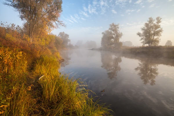 De herfst hout op de rivier bank — Stockfoto