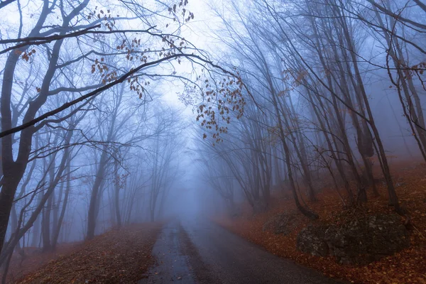 秋の色の山道 — ストック写真