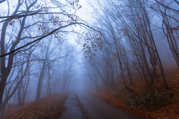 Bergstraße in herbstlichen Farben — Stockfoto