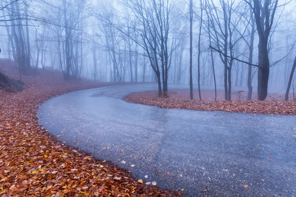 Górska droga w kolorach jesieni — Zdjęcie stockowe
