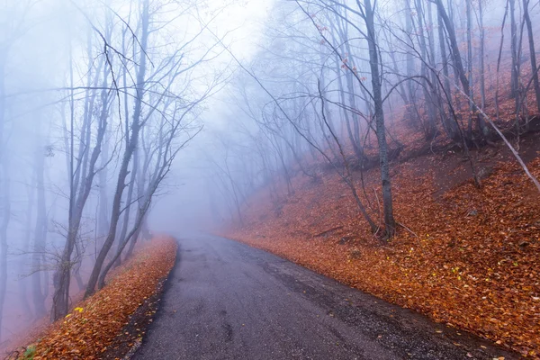 가의 색깔에 산악도로 — 스톡 사진
