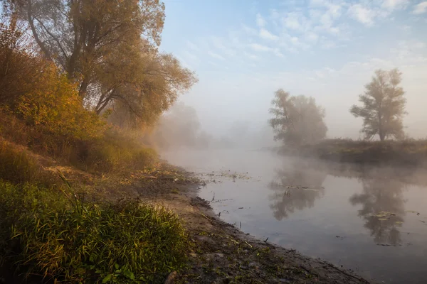 The autumn wood on the river bank — Stock Photo, Image