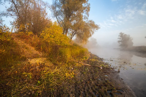 The autumn wood on the river bank — Stock Photo, Image