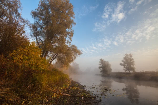 De herfst hout op de rivier bank — Stockfoto