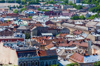 Lviv yaz Belediye Binası göster.