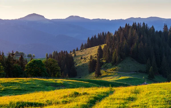 Schöner Sommersonnenaufgang in den Bergen. — Stockfoto