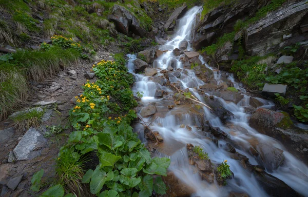 Cachoeira pequena bonita Em Montanhas, Ucrânia . — Fotografia de Stock