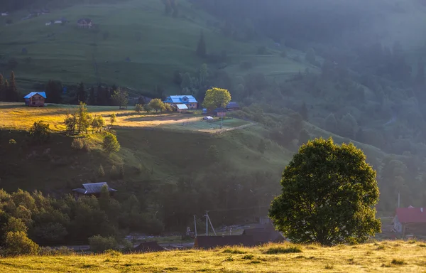 Dağ manzarası — Stok fotoğraf