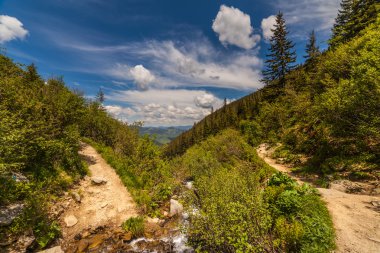Güzel küçük şelale içinde dağlar, Ukrayna. 