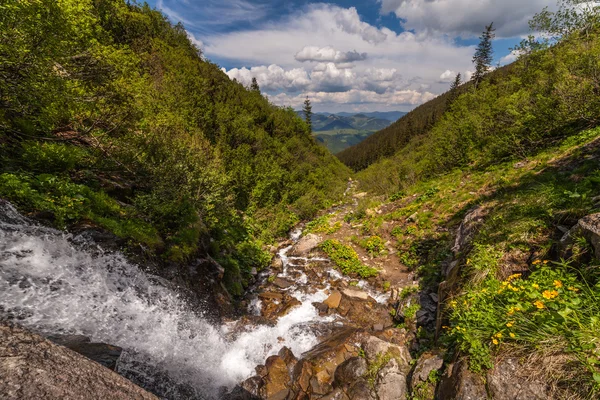 Krásný malý vodopád v horách, Ukrajina. — Stock fotografie