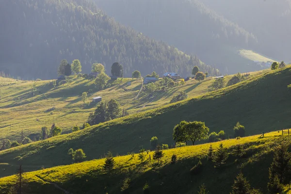 Horská krajina v létě. stromy v blízkosti louka a Les — Stock fotografie