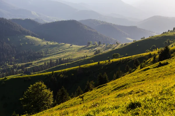 Dağ yaz manzarası. çayır ve orman ağaçları — Stok fotoğraf