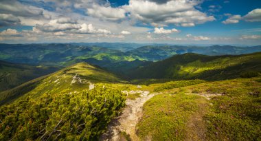 sihirli pembe ormangülü çiçek Dağları