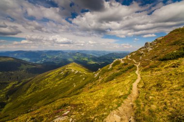 sihirli pembe ormangülü çiçek Dağları