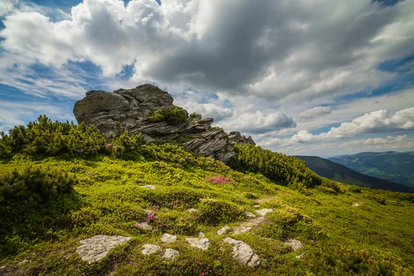 Vackra landskap i Karpaterna — Stockfoto