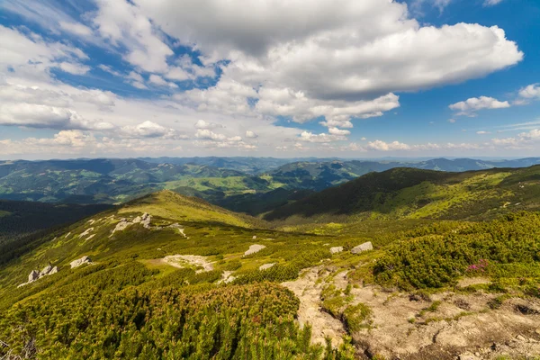 Красиві гори пейзаж у Карпатський — стокове фото