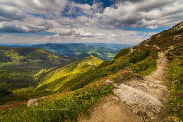 カルパティアの美しい山の風景 — ストック写真