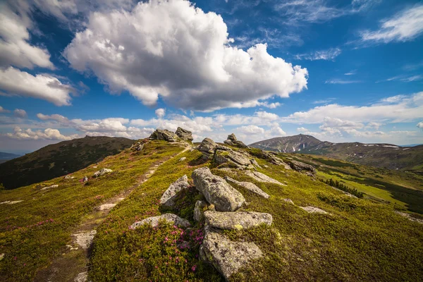 Красиві гори пейзаж у Карпатський — стокове фото