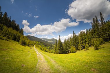 Dev dağlarla manzara ile taze yeşil yaprak