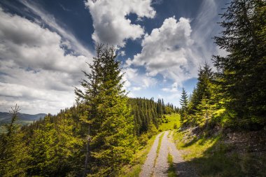 Dev dağlarla manzara ile taze yeşil yaprak