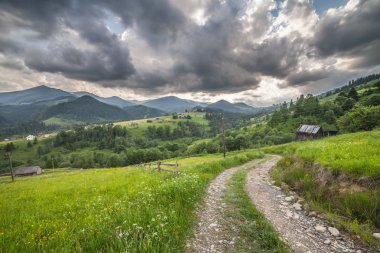 Dev dağlarla manzara ile taze yeşil yaprak