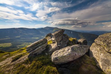 sihirli pembe ormangülü çiçek Dağları