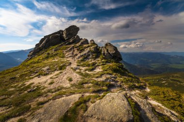 sihirli pembe ormangülü çiçek Dağları